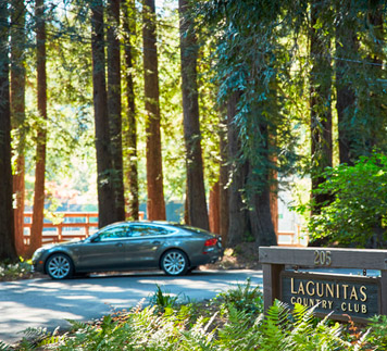 Green Jaguar car parked under majestic redwoods at the Lagunitas Country club in Ross.
